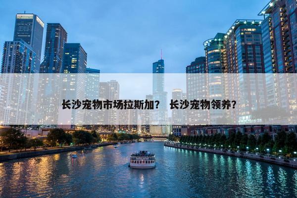 长沙宠物市场拉斯加？ 长沙宠物领养？