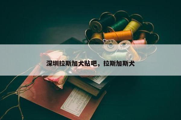 深圳拉斯加犬贴吧，拉斯加斯犬
