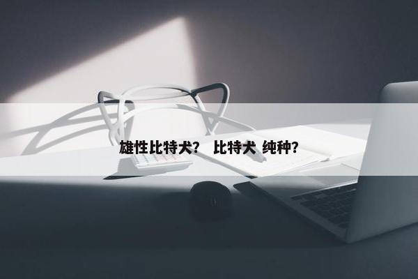 雄性比特犬？ 比特犬 纯种？