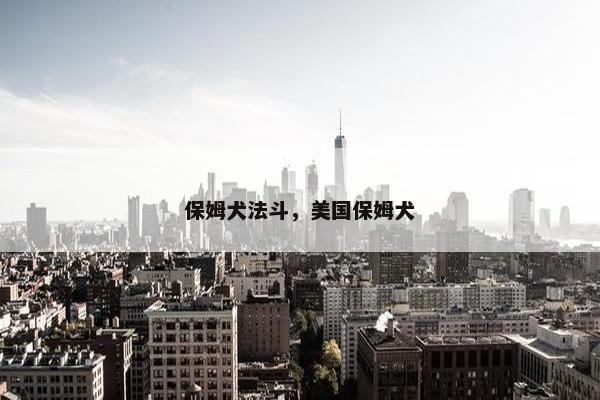 保姆犬法斗，美国保姆犬
