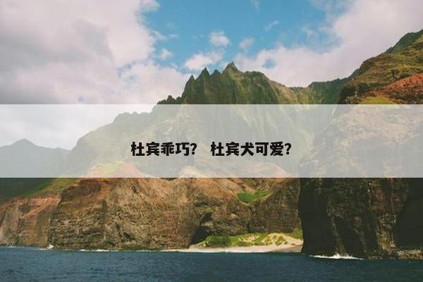 杜宾乖巧？ 杜宾犬可爱？