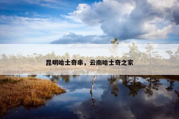 昆明哈士奇串，云南哈士奇之家