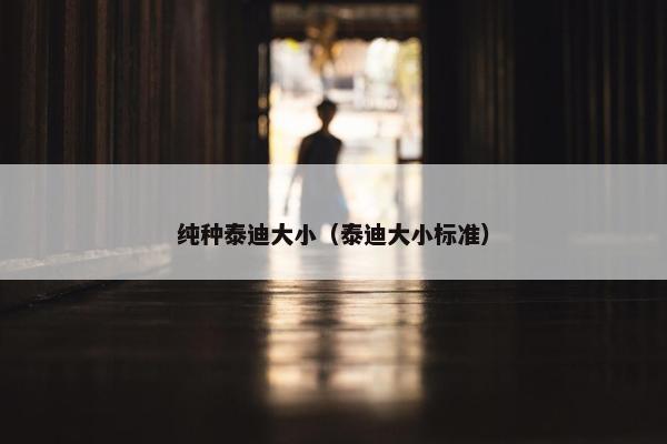 纯种泰迪大小（泰迪大小标准）