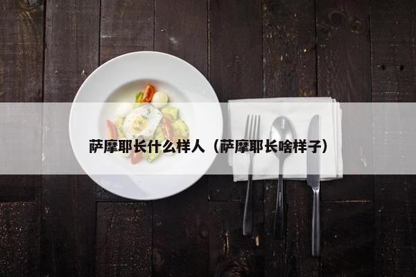 萨摩耶长什么样人（萨摩耶长啥样子）