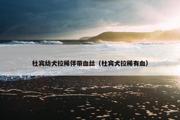 杜宾幼犬拉稀伴带血丝（杜宾犬拉稀有血）