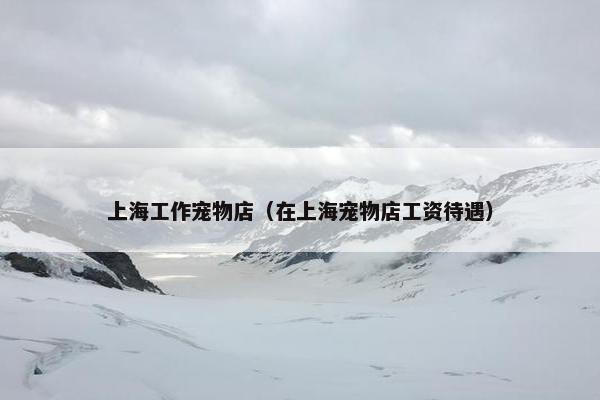 上海工作宠物店（在上海宠物店工资待遇）