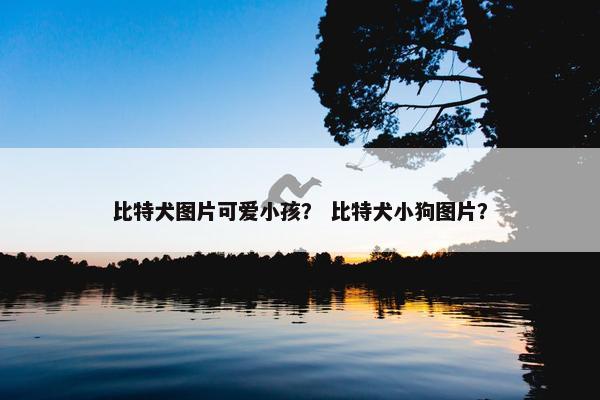 比特犬图片可爱小孩？ 比特犬小狗图片？