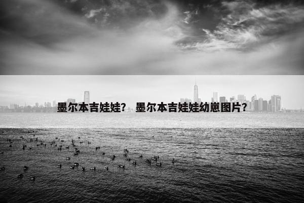 墨尔本吉娃娃？ 墨尔本吉娃娃幼崽图片？