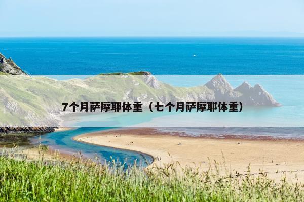 7个月萨摩耶体重（七个月萨摩耶体重）