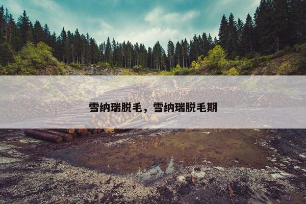 雪纳瑞脱毛，雪纳瑞脱毛期