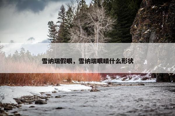 雪纳瑞假眼，雪纳瑞眼睛什么形状