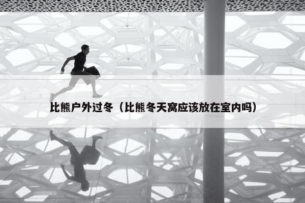 比熊户外过冬（比熊冬天窝应该放在室内吗）