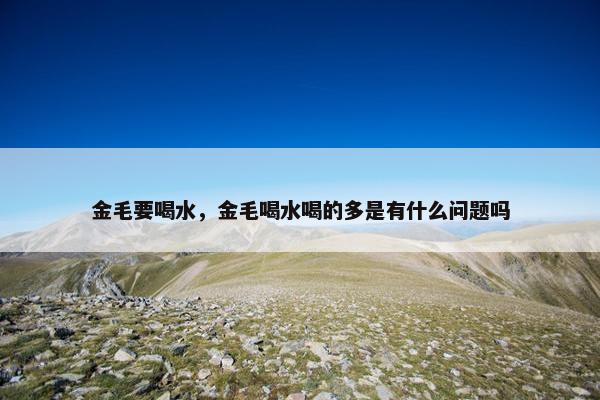 金毛要喝水，金毛喝水喝的多是有什么问题吗