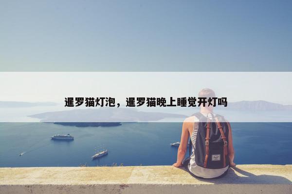 暹罗猫灯泡，暹罗猫晚上睡觉开灯吗