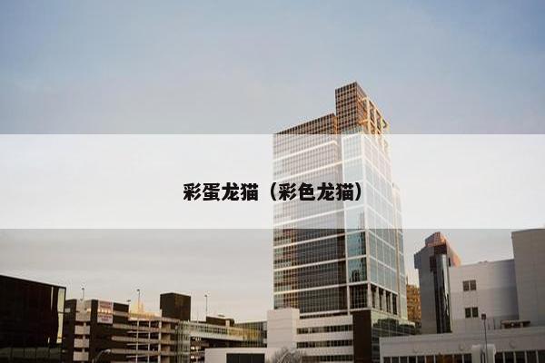 彩蛋龙猫（彩色龙猫）