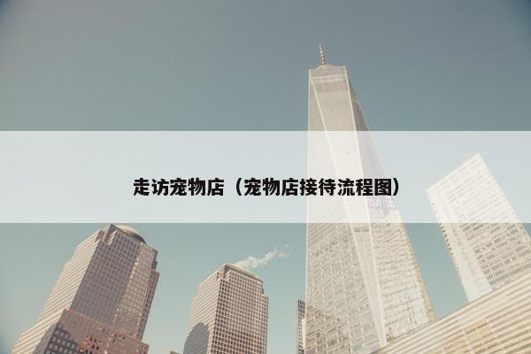 走访宠物店（宠物店接待流程图）