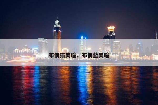 布偶猫美瞳，布偶蓝美瞳