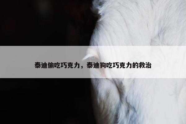 泰迪偷吃巧克力，泰迪狗吃巧克力的救治