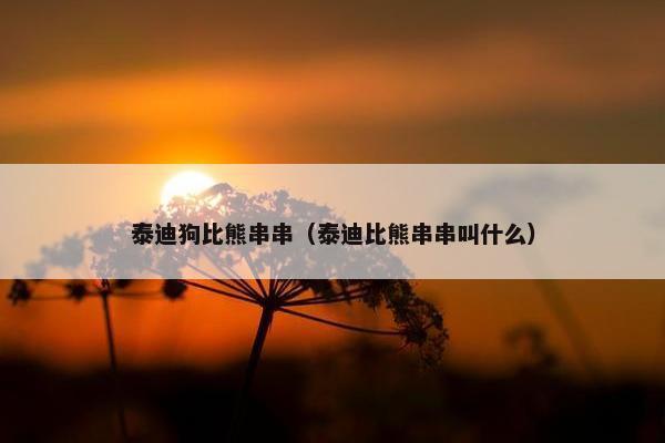 泰迪狗比熊串串（泰迪比熊串串叫什么）