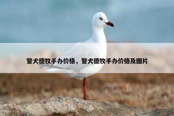 警犬德牧手办价格，警犬德牧手办价格及图片
