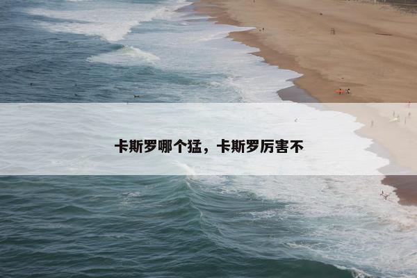卡斯罗哪个猛，卡斯罗厉害不