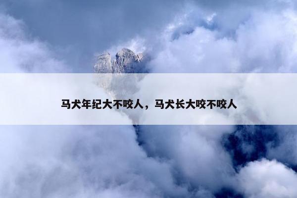 马犬年纪大不咬人，马犬长大咬不咬人