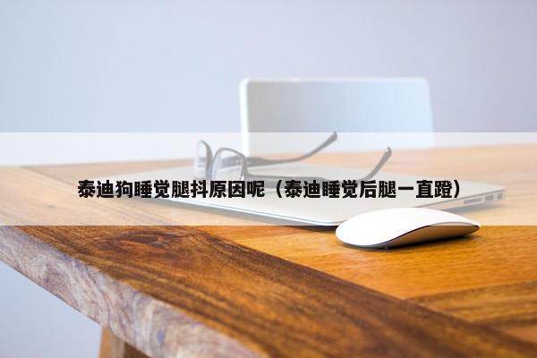 泰迪狗睡觉腿抖原因呢（泰迪睡觉后腿一直蹬）