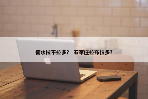 衡水拉不拉多？ 石家庄拉布拉多？