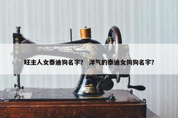 旺主人女泰迪狗名字？ 洋气的泰迪女狗狗名字？