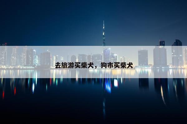 去旅游买柴犬，狗市买柴犬