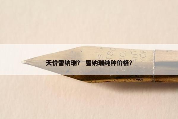 天价雪纳瑞？ 雪纳瑞纯种价格？
