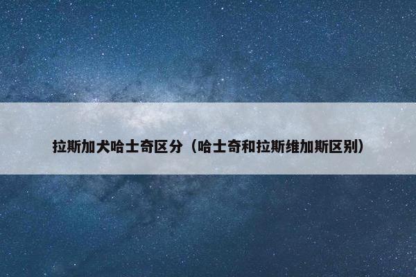 拉斯加犬哈士奇区分（哈士奇和拉斯维加斯区别）