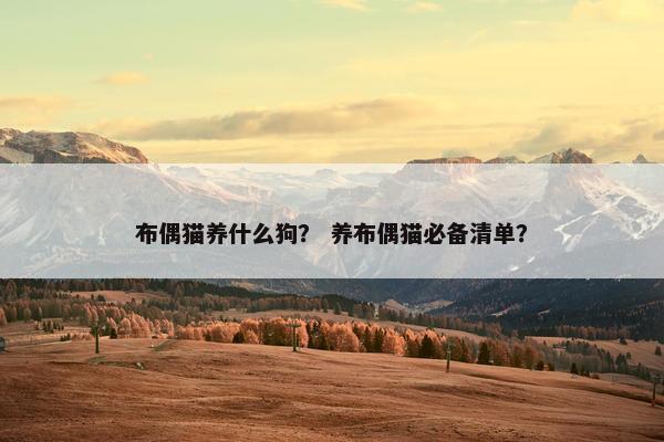 布偶猫养什么狗？ 养布偶猫必备清单？