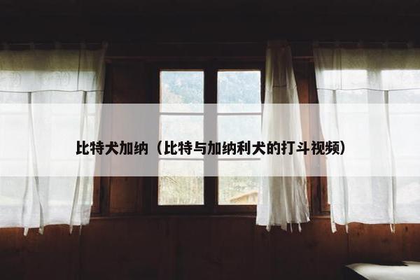 比特犬加纳（比特与加纳利犬的打斗视频）