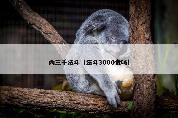 两三千法斗（法斗3000贵吗）