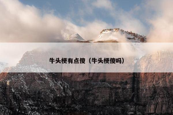 牛头梗有点傻（牛头梗傻吗）