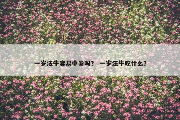 一岁法牛容易中暑吗？ 一岁法牛吃什么？