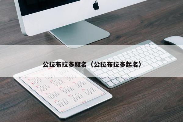 公拉布拉多取名（公拉布拉多起名）