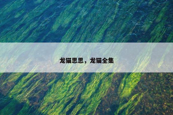龙猫思思，龙猫全集