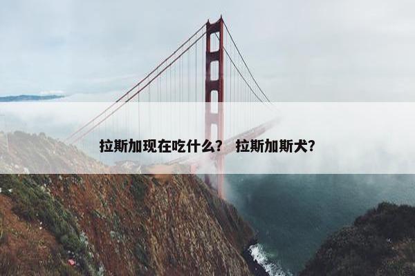 拉斯加现在吃什么？ 拉斯加斯犬？