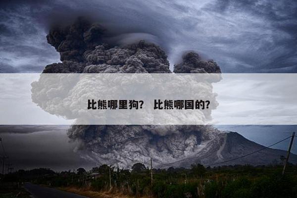比熊哪里狗？ 比熊哪国的？