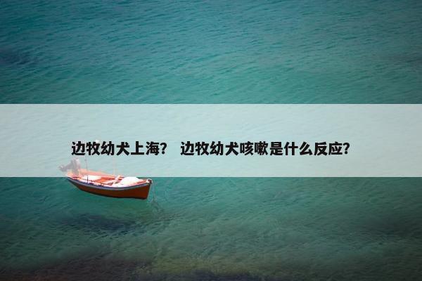 边牧幼犬上海？ 边牧幼犬咳嗽是什么反应？