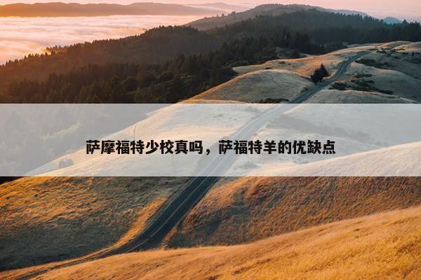 萨摩福特少校真吗，萨福特羊的优缺点