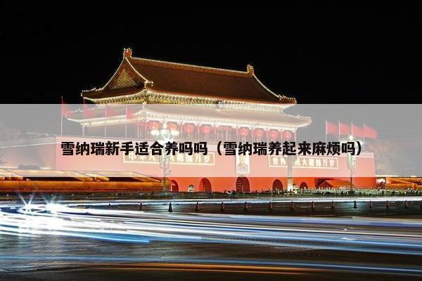 雪纳瑞新手适合养吗吗（雪纳瑞养起来麻烦吗）