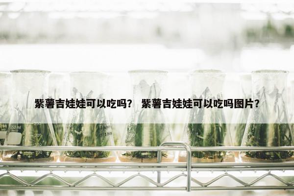 紫薯吉娃娃可以吃吗？ 紫薯吉娃娃可以吃吗图片？