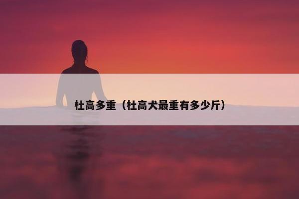 杜高多重（杜高犬最重有多少斤）