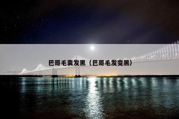 巴哥毛囊发黑（巴哥毛发变黑）