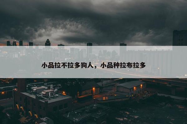 小品拉不拉多狗人，小品种拉布拉多