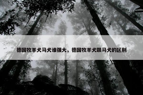 德国牧羊犬马犬谁强大，德国牧羊犬跟马犬的区别