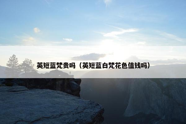 英短蓝梵贵吗（英短蓝白梵花色值钱吗）